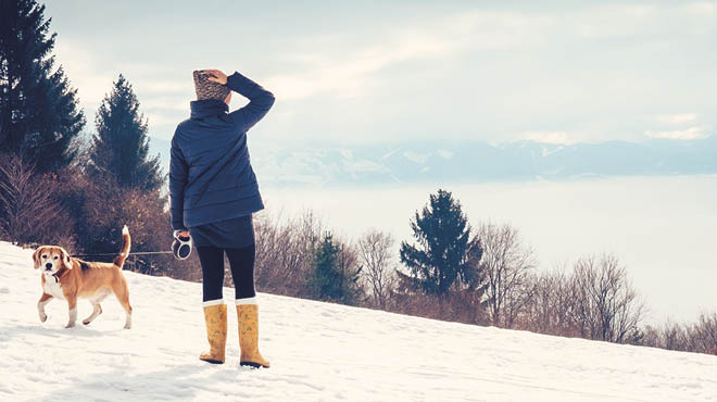 物理上的PrepareWinter_Blog
